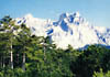 AI-PETRI, the most beautiful peak in the Crimea, looms over the city. 
