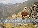 Machu-Picchu-020