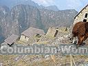 Machu-Picchu-021