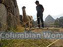 Machu-Picchu-022